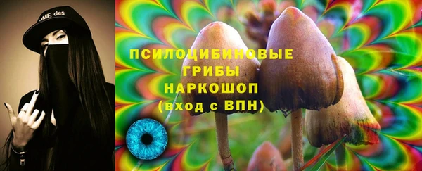 тгк Арсеньев
